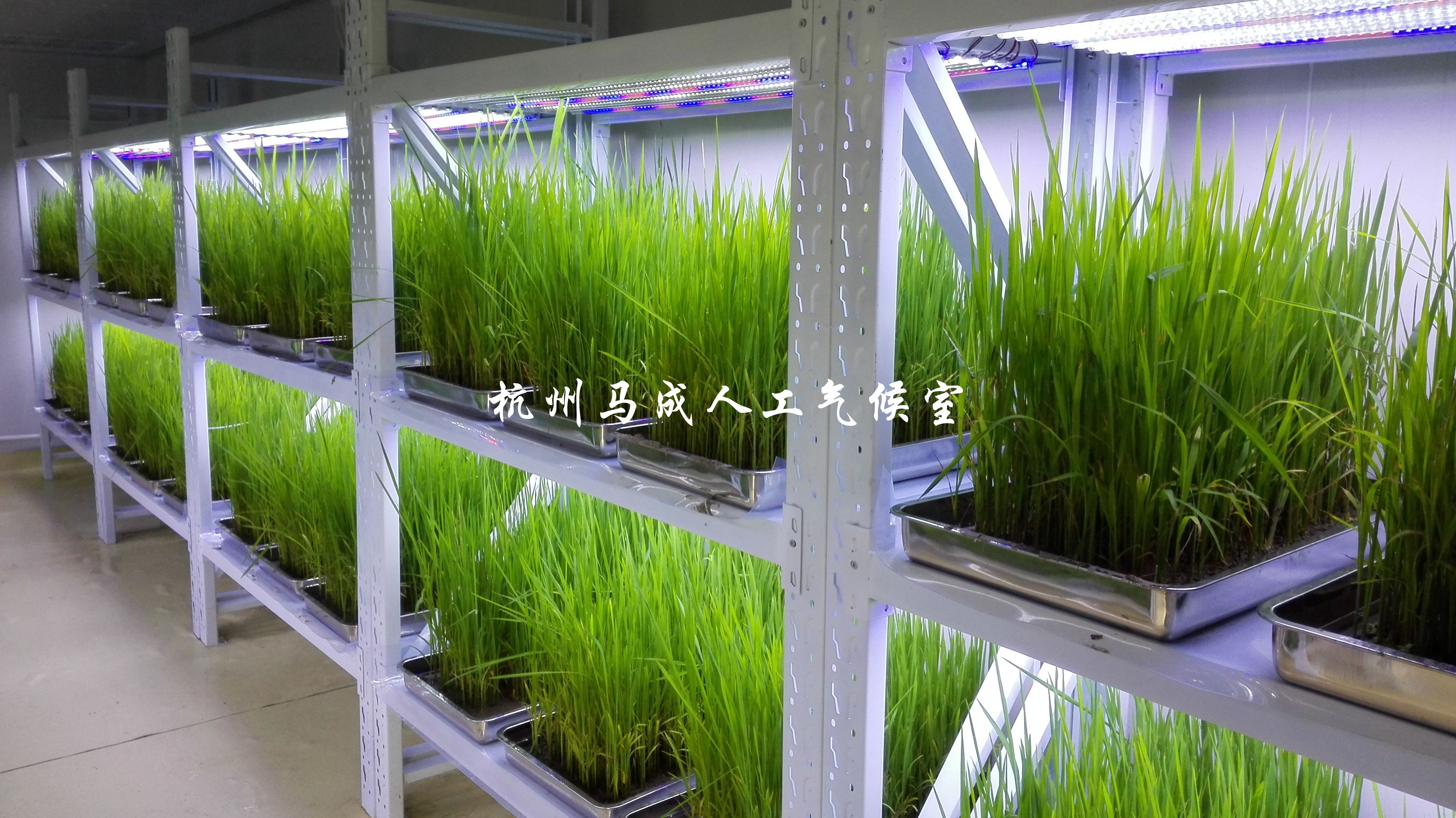 上海农业科学院2