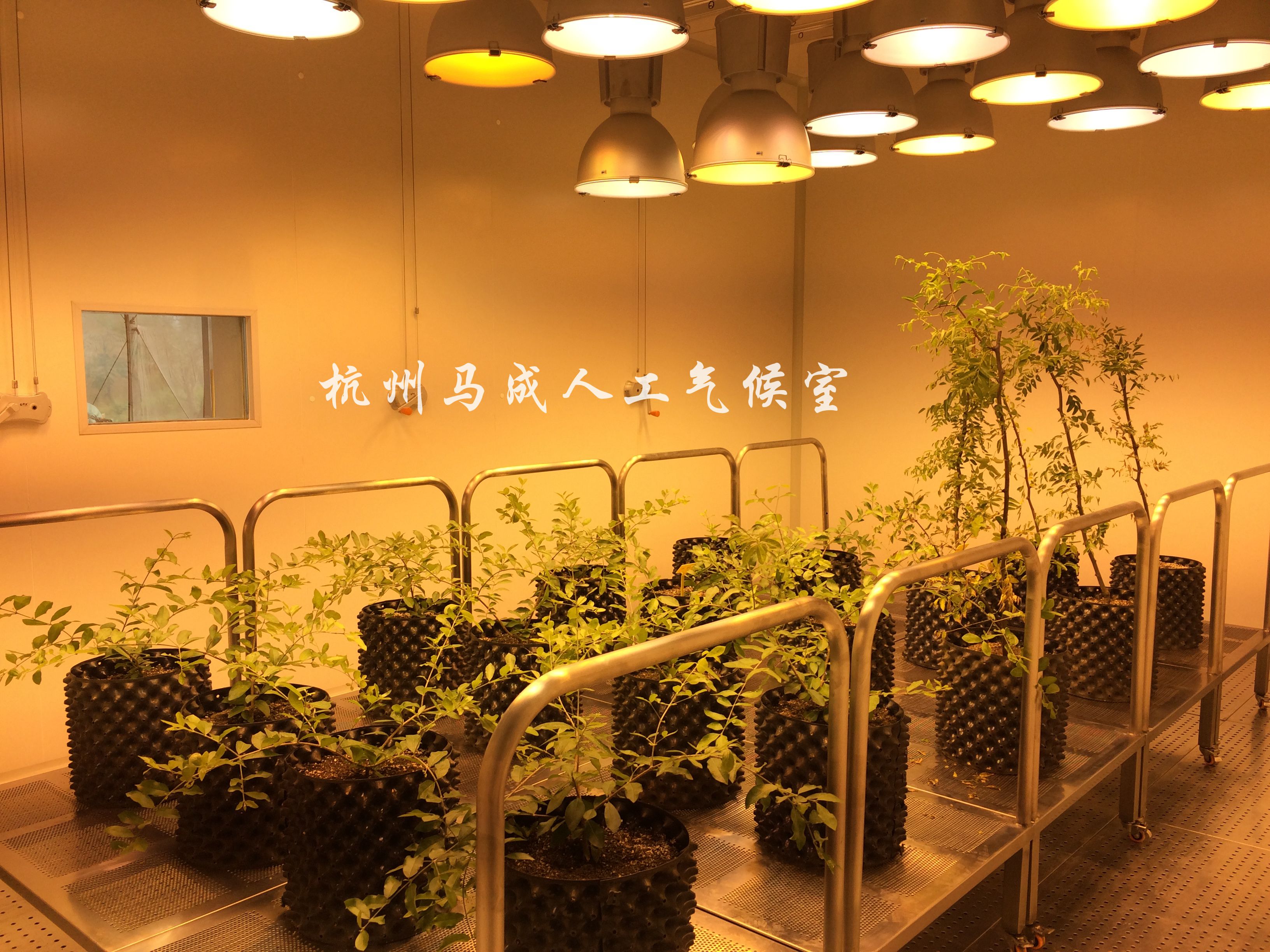 安利（中国）植物研发中心1