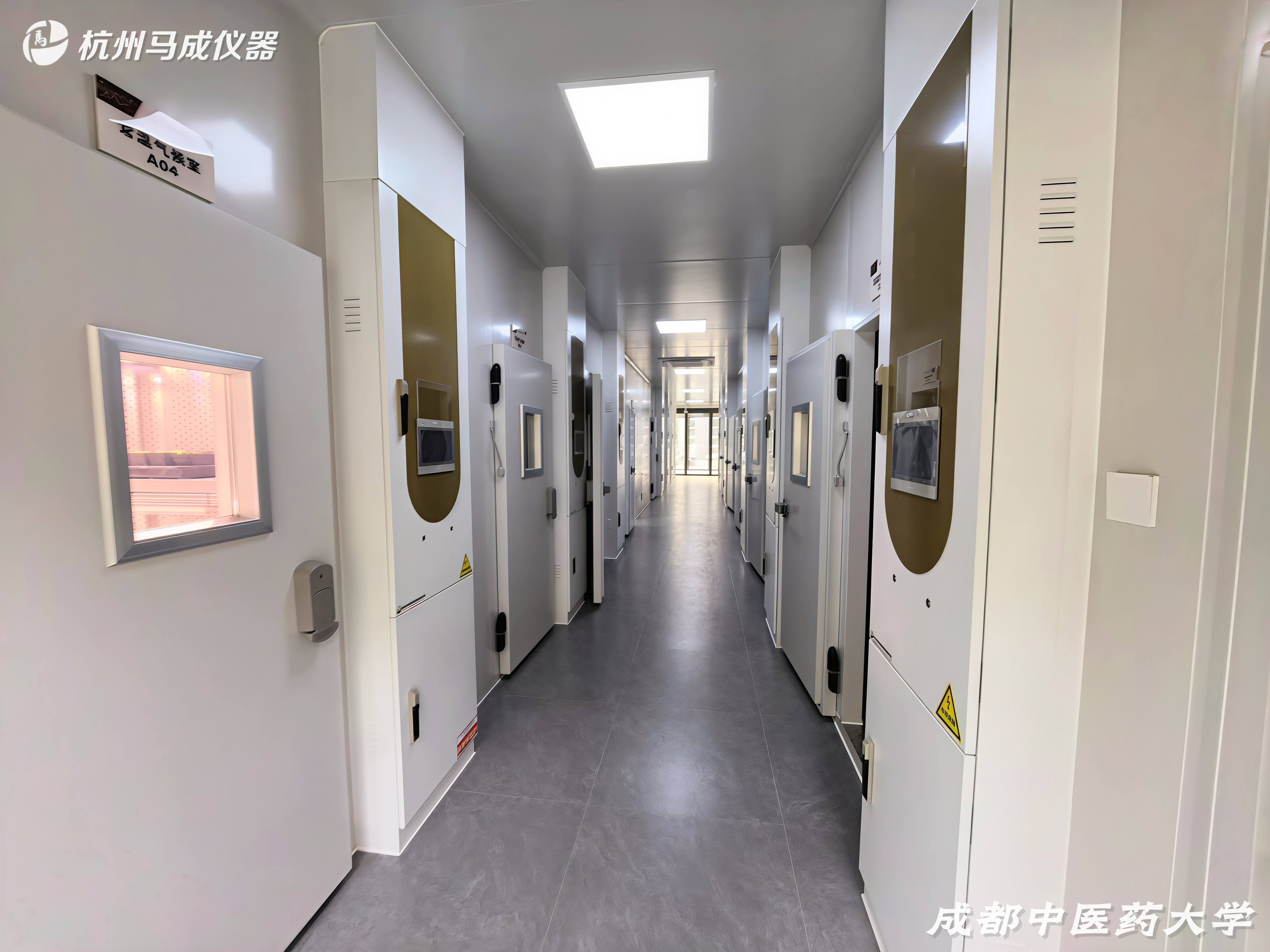 成都2.jpg