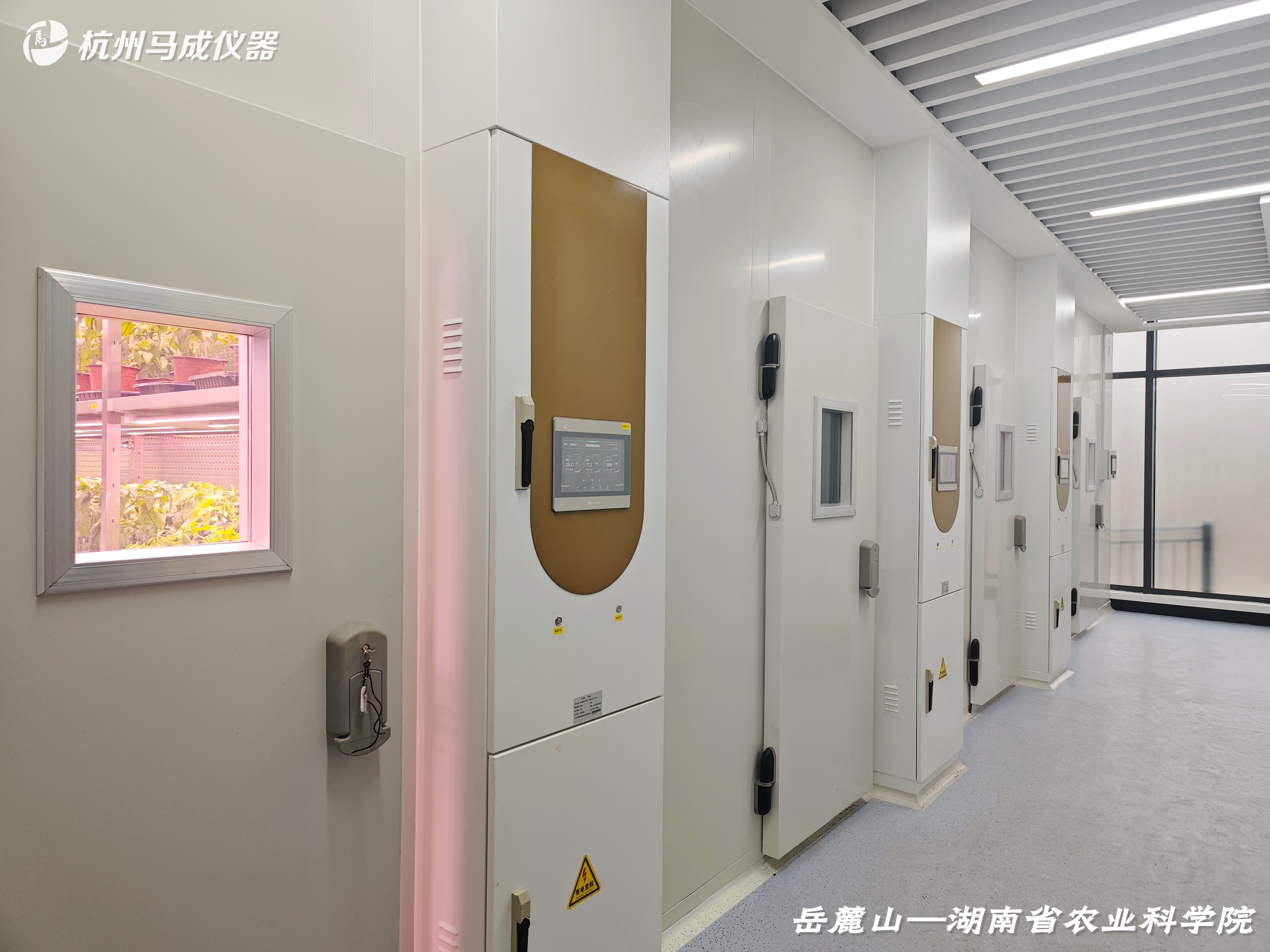 湖南农科院4.jpg